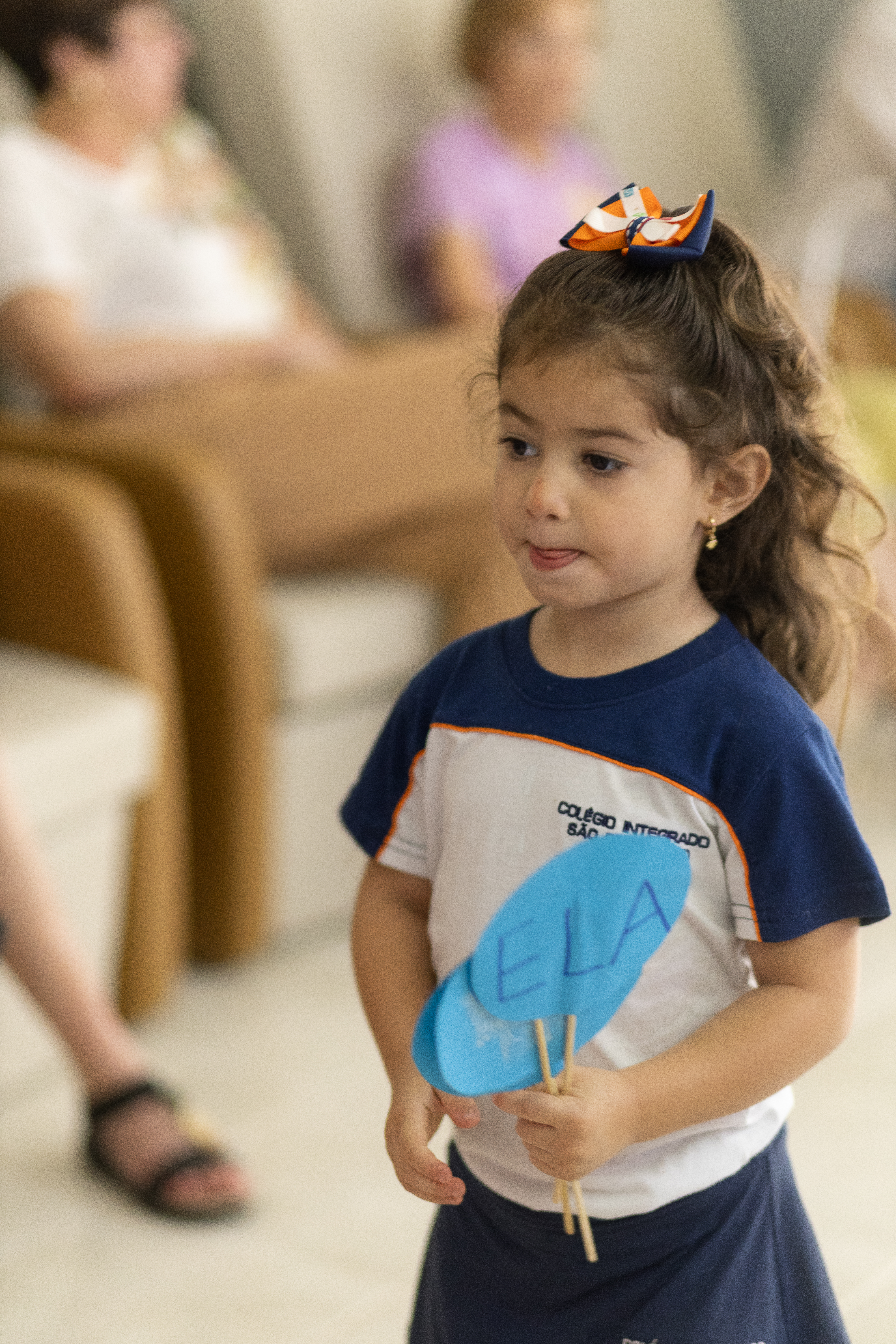 Descrição da Imagem 1